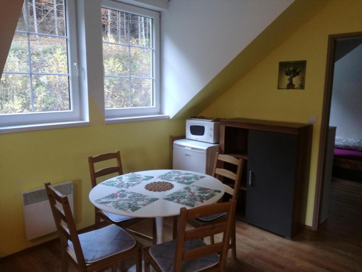 Apartman Orbit Karlovy Vary Extérieur photo
